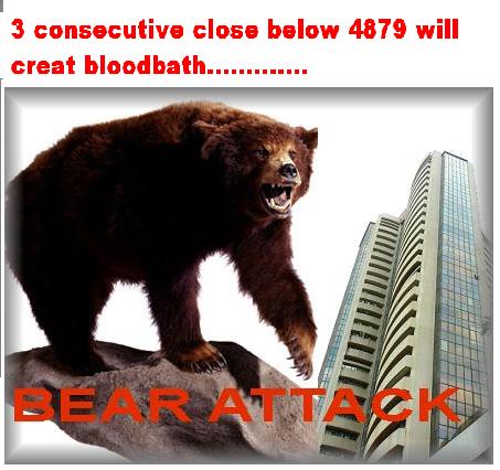 BEARATTACK19