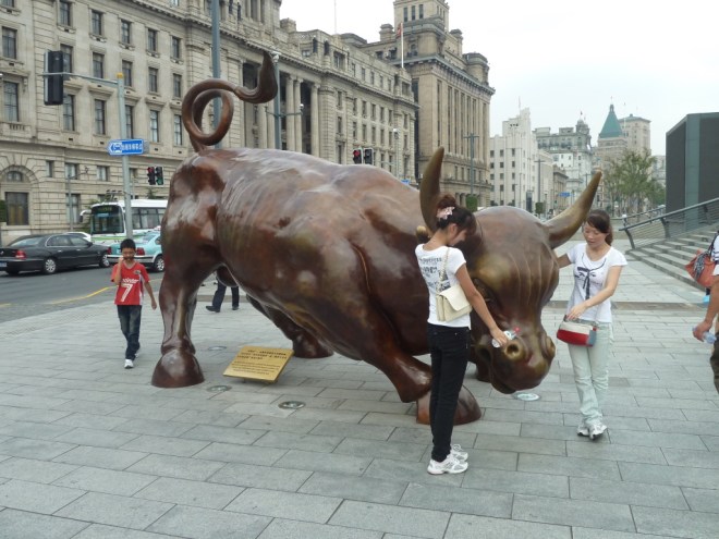 bull14