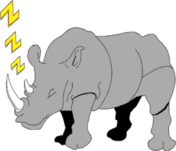 rhino
